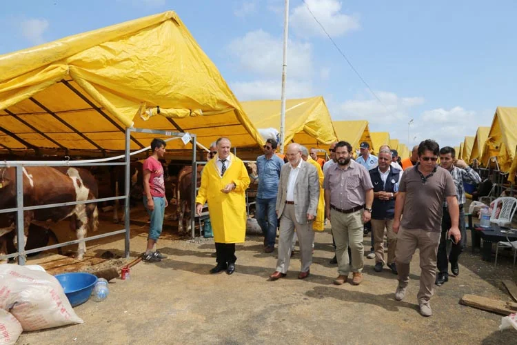 Beykoz'da kurban hazırlıkları başladı 1 kurban kent ziyaret 3 eB5GGjaDlf