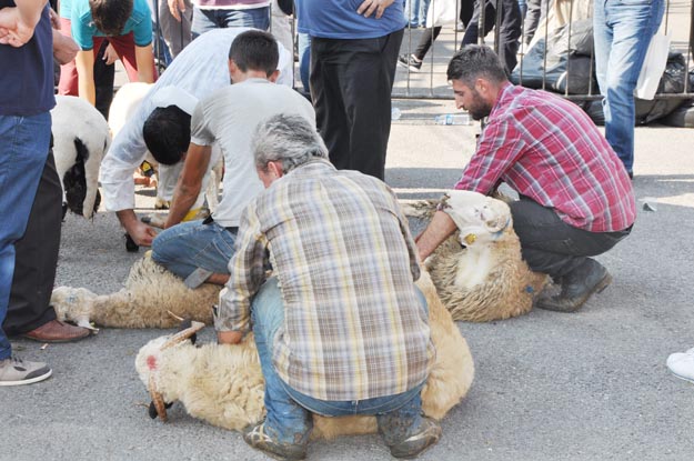 Beykoz’da huzurlu bir  Bayram günü yaşandı