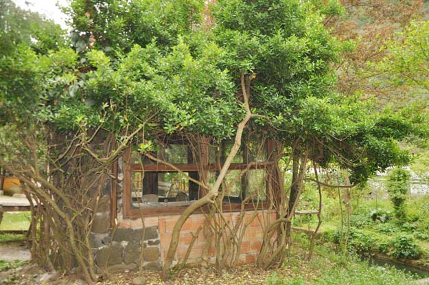 Beykoz'un çeyrek asırlık mangal evi