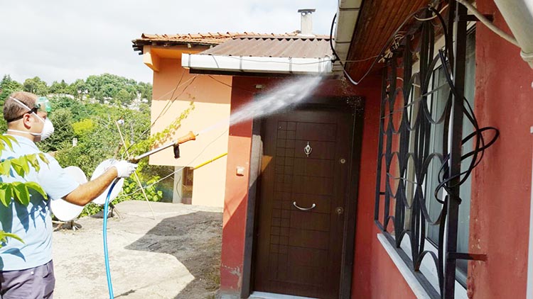 Beykoz’da sivrisinekle mücadele yöntemleri