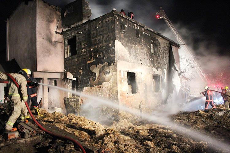 Beykoz Riva’da yangın çıktı, çok sayıda hayvan telef oldu