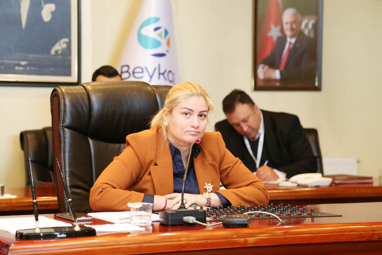 Beykoz Meclisi, Mayıs ayı çalışmalarını tamamladı