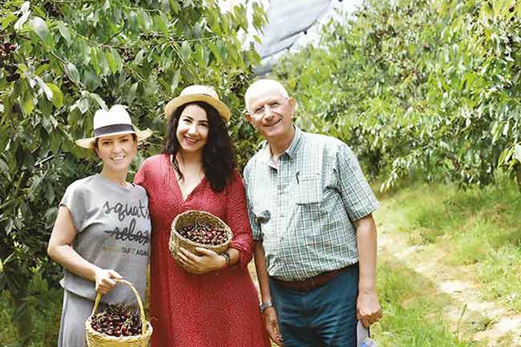 Beykoz’da internetten meyve satılan bahçe