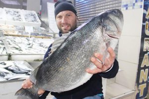 Beykoz'da 1 kilo 200 gram balık tezgahtan çalındı