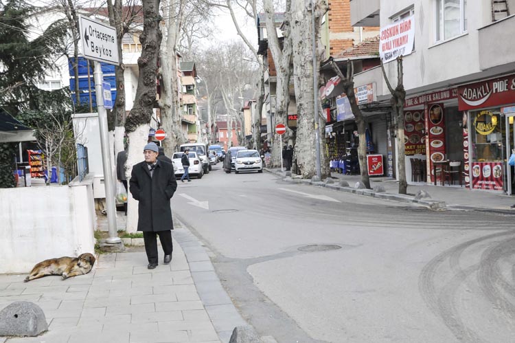 Beykoz Tokatköy'de referandum sandığı kuruluyor