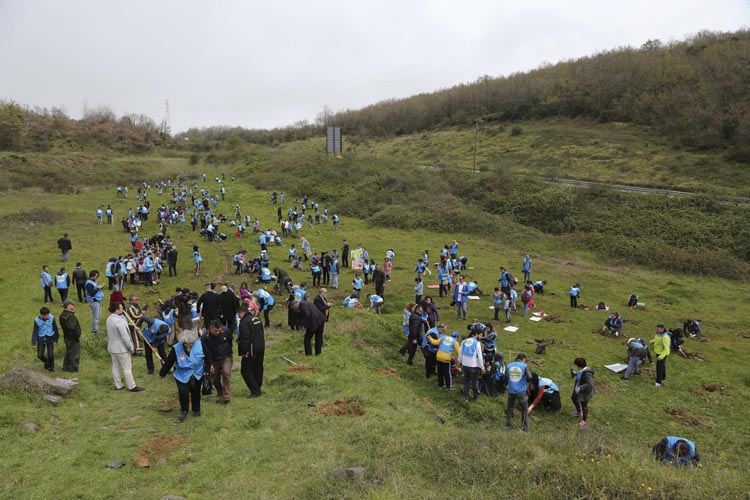 Beykoz'un yeşil okullarından 500 çam fidanı