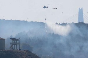 Beykoz Anadolufeneri'nde orman yangını