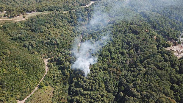 Beykoz’daki orman yangınlarının perde arkası