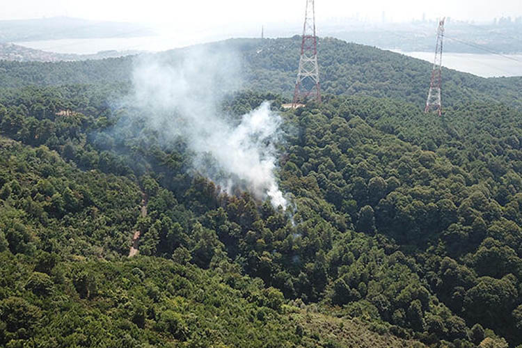 Beykoz’daki orman yangınlarının perde arkası