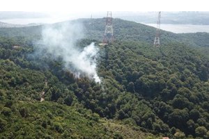 Beykoz Anadolukavağı'nda 3 noktada yangın
