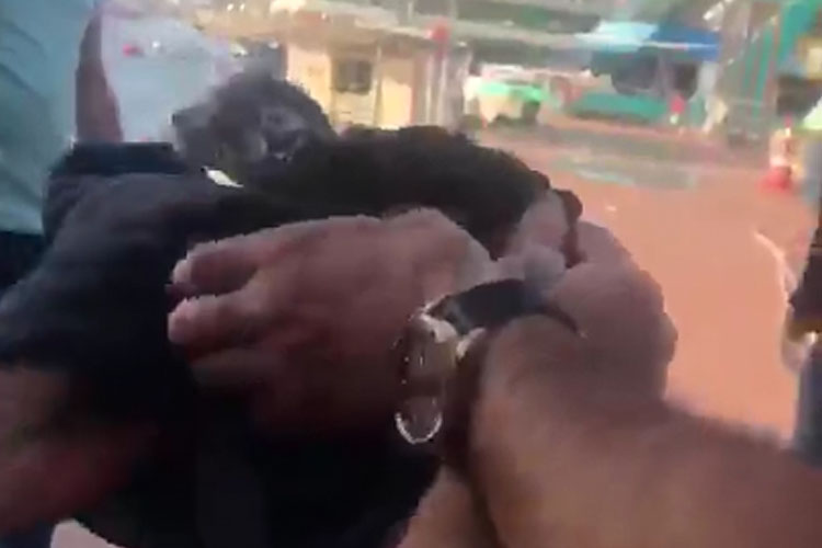 Beykoz'da denize düşen kediyi vatandaşlar kurtardı