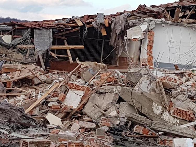 Beykoz Belediyesi hayvan barınağını da yıktı