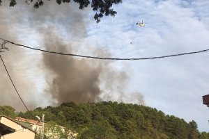 Beykoz Göztepe'de orman yangını, helikopter istendi