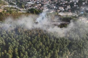 Beykoz'da 2 günde ikinci orman yangını 