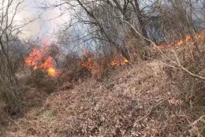 Beykoz'da orman yangını çıktı hava desteği istendi
