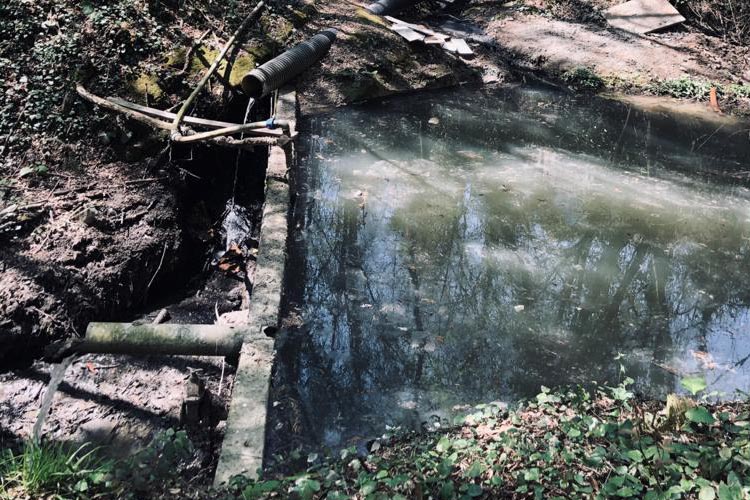 Beykoz’da villaların atık suları 23 yıldır dereye akıyor