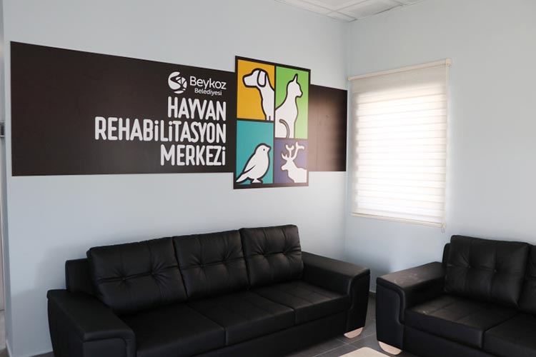 Beykoz Hayvan Rehabilitasyon Merkezi açıldı