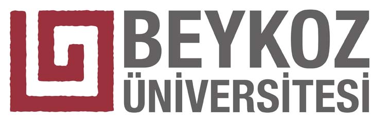Beykoz Üniversitesi öğrencilerine BM’den ödül