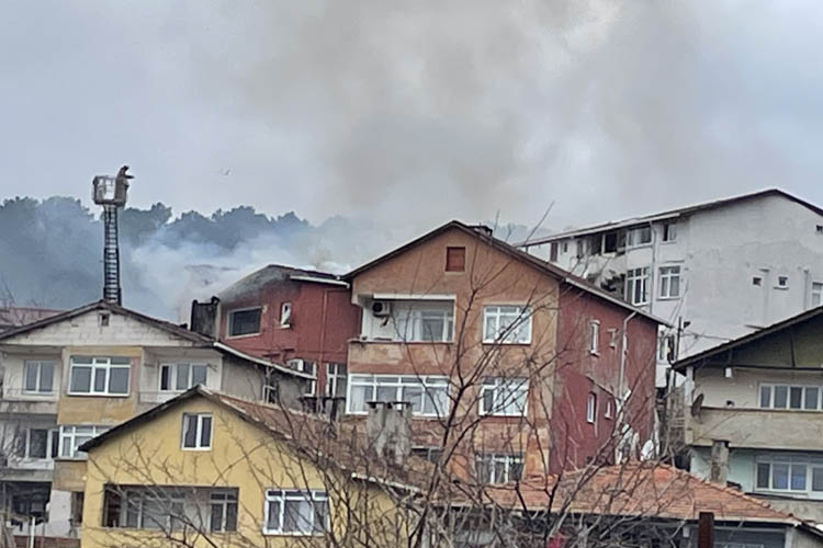 Beykoz'daki yangın hızlı müdahaleyle söndürüldü
