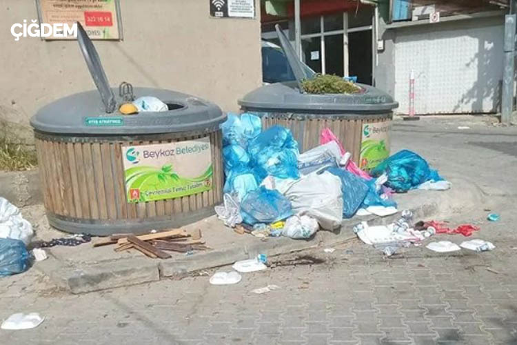 Beykoz Belediyesi çöpleri toplayamadı