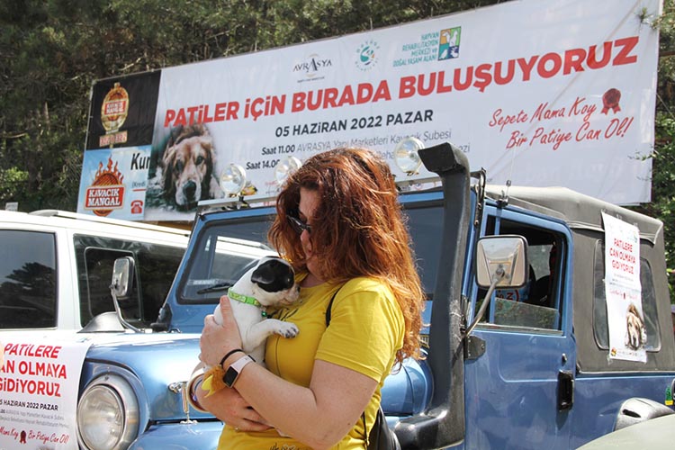 Beykoz’da sokak köpekleri için seferber oldular