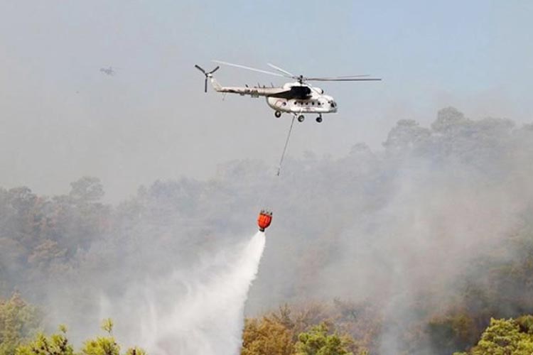 Beykoz’da orman yangını paniği