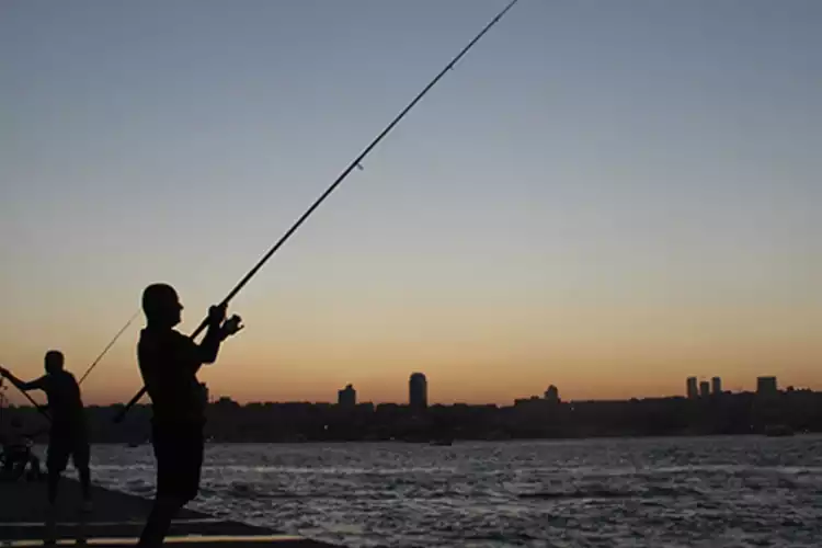 Beykoz'da altın ödüllü balık tutma yarışması
