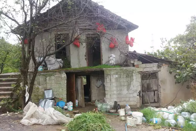 Beykoz’da 91 yaşındaki kadının evini yıktılar