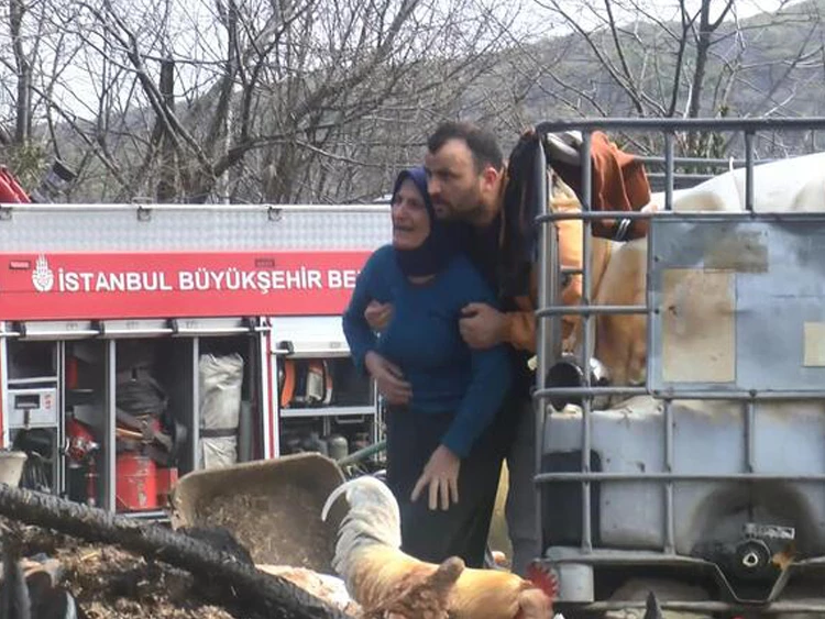 Beykoz'daki ahır yangınında hayvanlar telef oldu