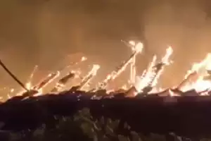 Beykoz İncirköy'de yangın paniği