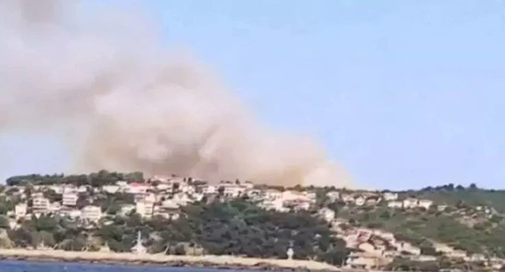 Beykoz’da iki farklı bölgede orman yangını