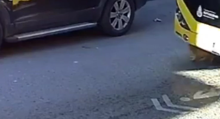 Beykoz'da İETT otobüsü kediyi ezdi
