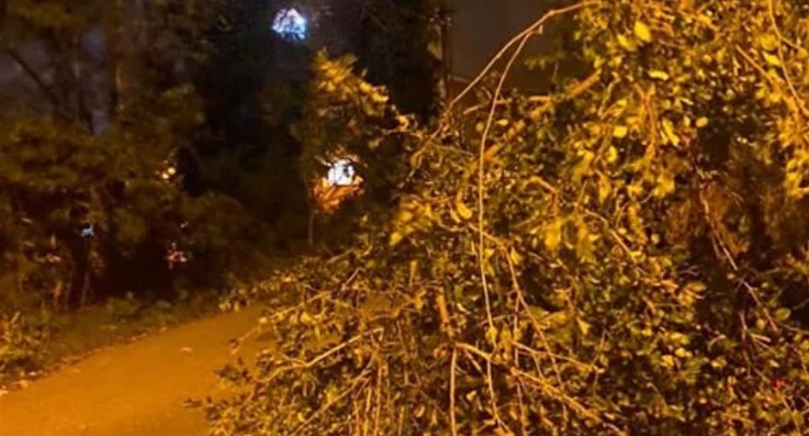 Beykoz'u lodos vurdu camlar patladı ağaçlar devrildi
