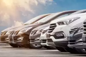 Beykoz Belediyesi 305 milyona araç kiraladı