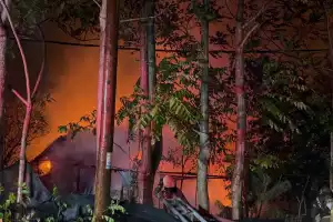 Beykoz Soğuksu'da yangın paniği 2 saat sürdü