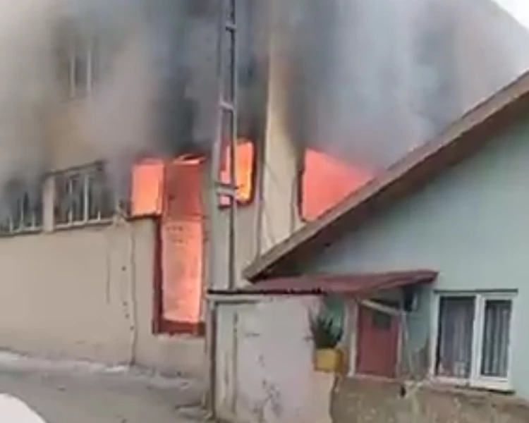 Beykoz'da yangın çıktı çevre ilçelerden takviye geliyor