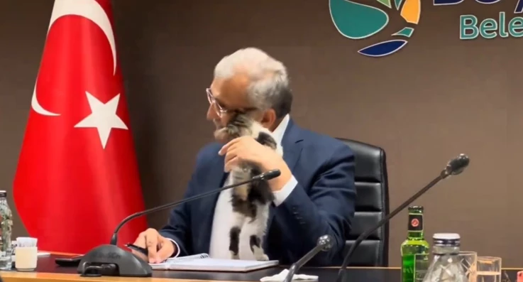 Murat Aydın Dünya Kediler Gününü boş geçmedi