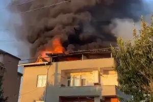 Beykoz'da akşam saatlerinde çıkan yangın korkuttu