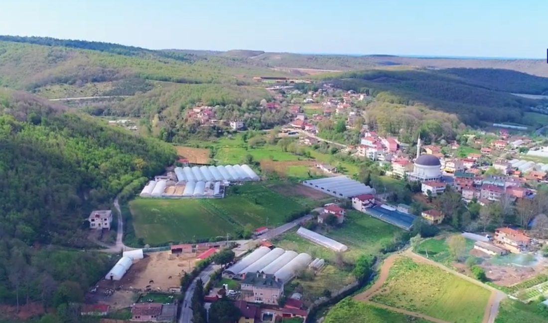 Beykoz Alibahadır Mahallesi'nde, 5393 sayılı Belediye Kanunu'nun 81. maddesi gereği