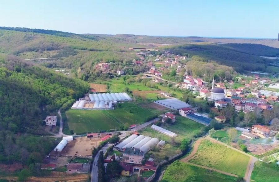 Beykoz Alibahadır Mahallesi'nde, 5393 sayılı Belediye Kanunu'nun 81. maddesi gereği