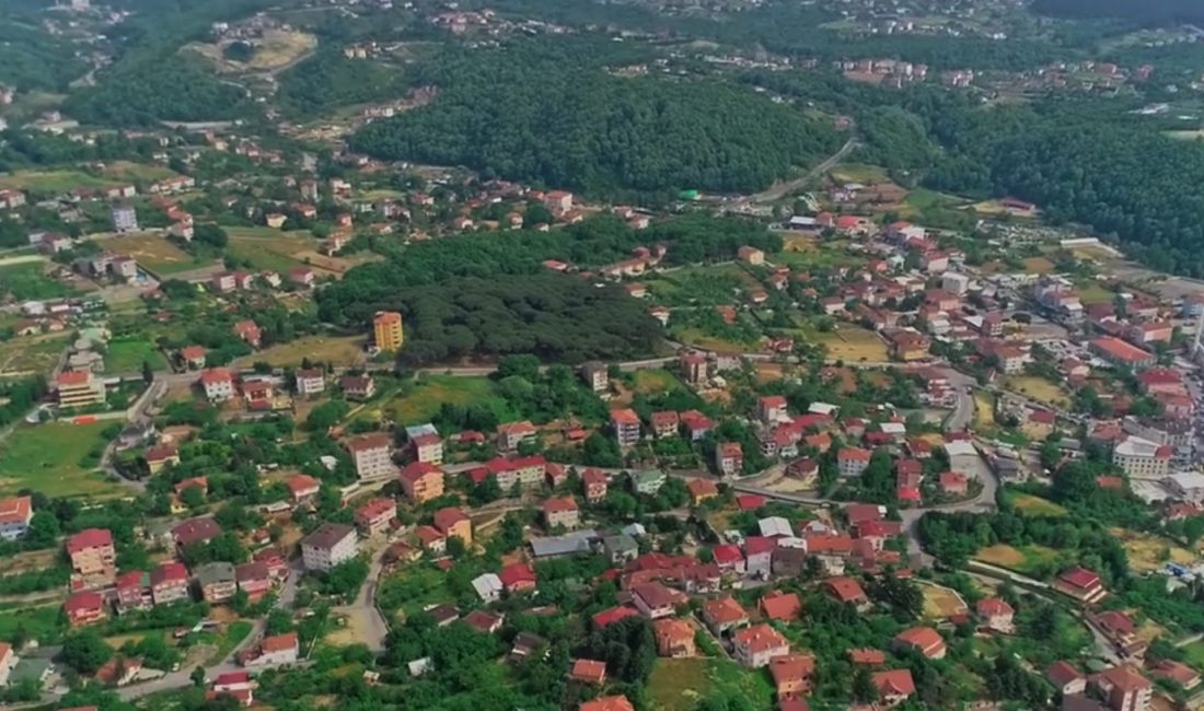Beykoz Çavuşbaşı Çengeldere Mahallesi'nde, 5393 sayılı Belediye Kanunu'nun 81. maddesi
