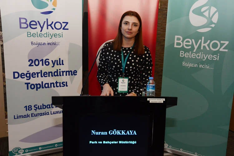 2016 deg top 22 BAnIJD9RsV