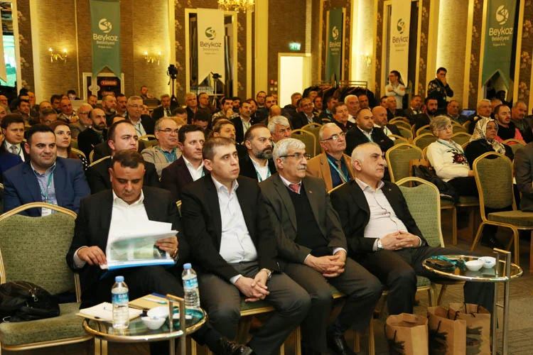 2016 deg top 8 1Oe5FnoTaq