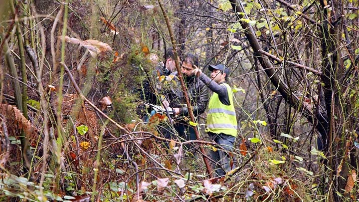 Beykoz'da ormanlık alanda hayvanlar tarafından parçalanmış bir erkek cesedi bulundu.