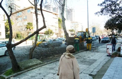 İstanbul Büyük Şehir Belediyesi Anadolu Yakası Park ve Bahçeler Müdürlüğü'nce,