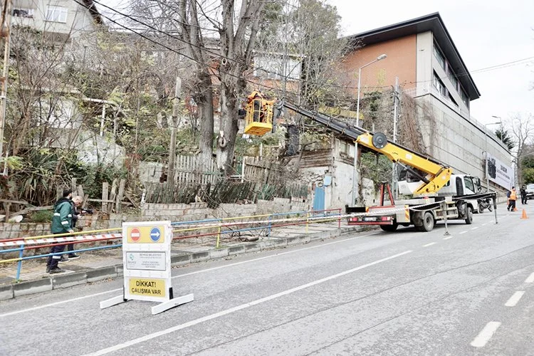 Beykoz’da ağaç budama dönemi başladı 2 agac 3 GyMtHKXt3K