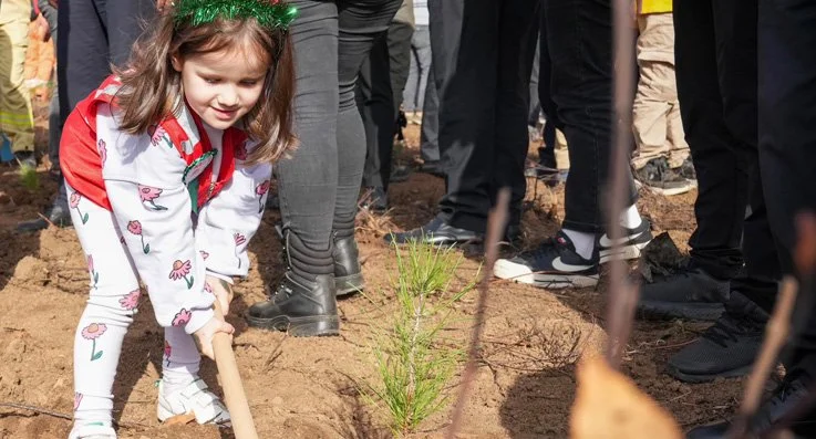 Beykoz'da Temmuz ayında yanan ormanlık alan yeniden ağaçlandırıldı. Türkiye Yüzyılı
