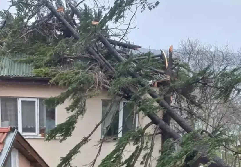 İBB Afet ve Koordinasyon Merkezi'nden yapılan uyarıda Beykoz ve çevresinde