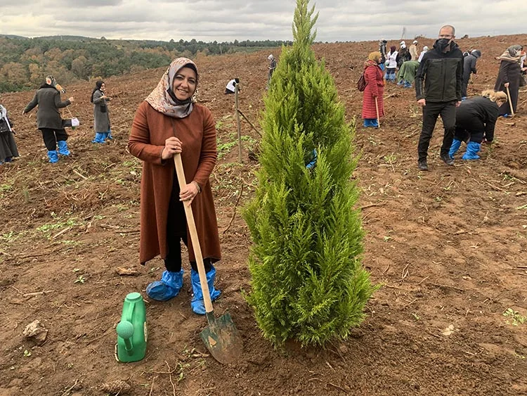 ak parti ag opy3dWfdct