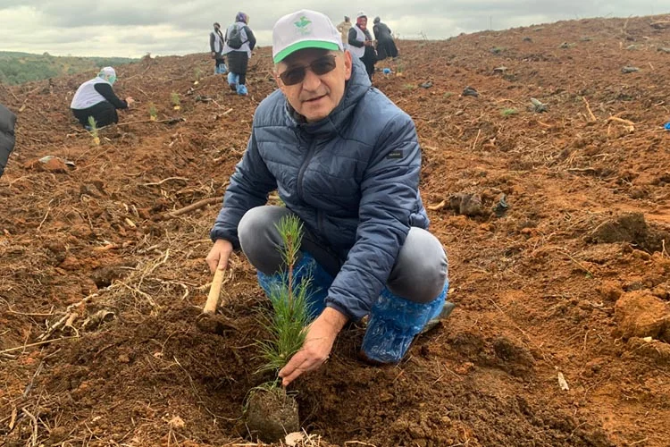 ak parti agac 3 ILv5npbCnT